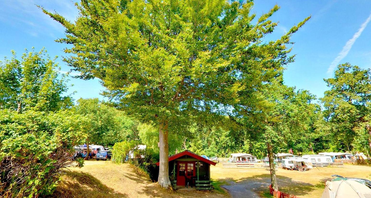 Randboldal Camping & Cabins Luaran gambar