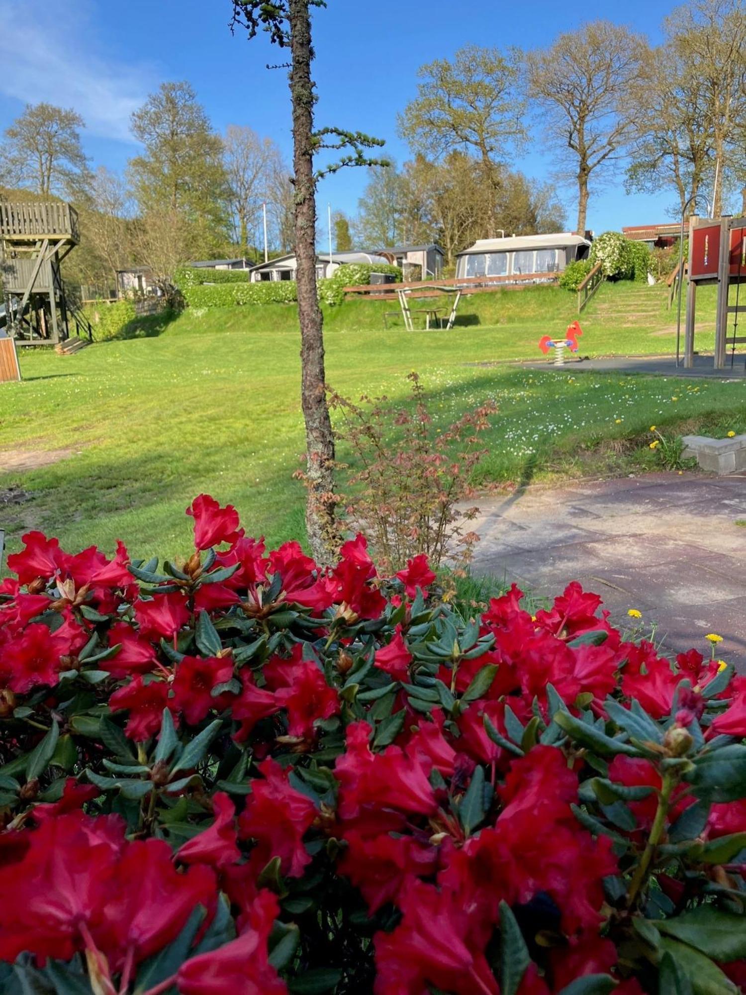 Randboldal Camping & Cabins Luaran gambar